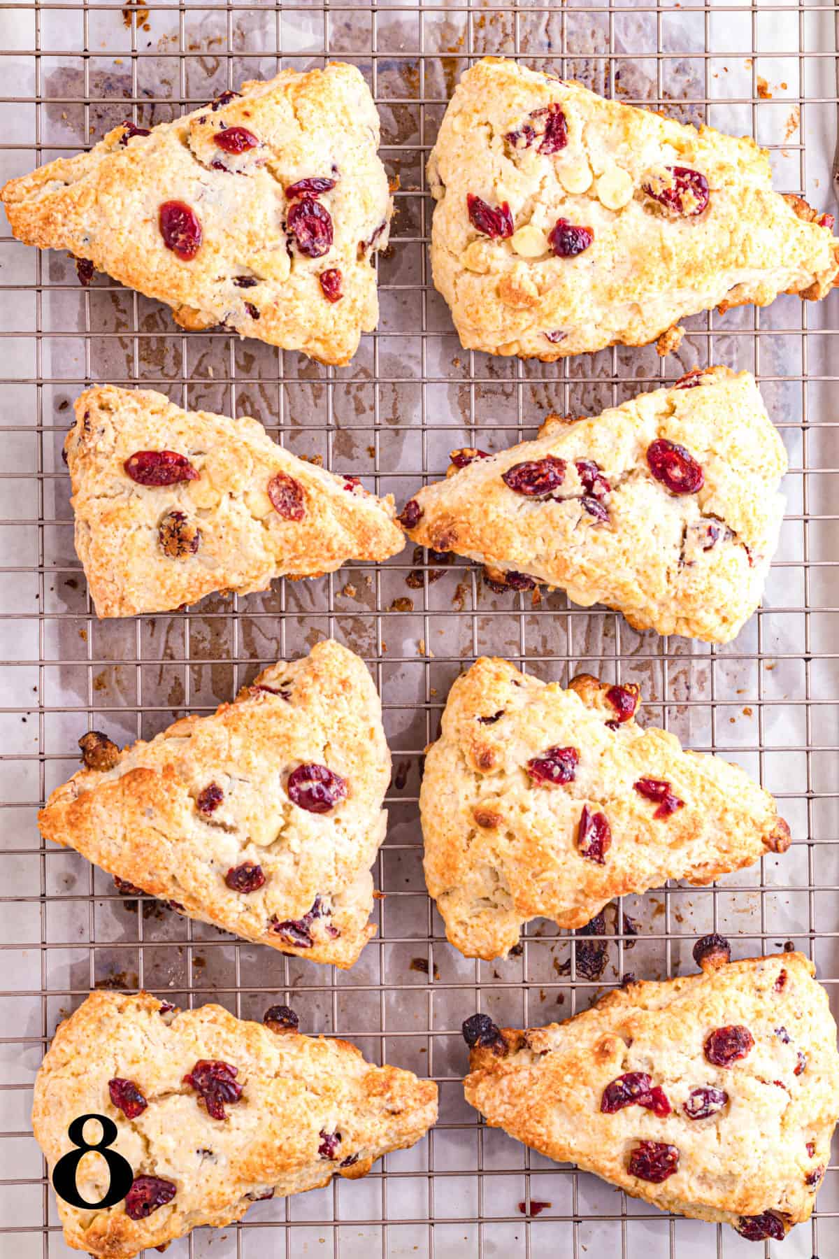 How to Make Cramberry White Chocolate Scones Step 8