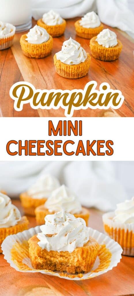 Pumpkin Mini Cheesecakes