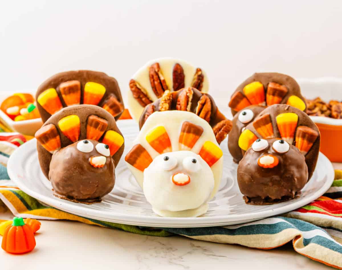 Turkey Pumpkin Pie Balls Landscape