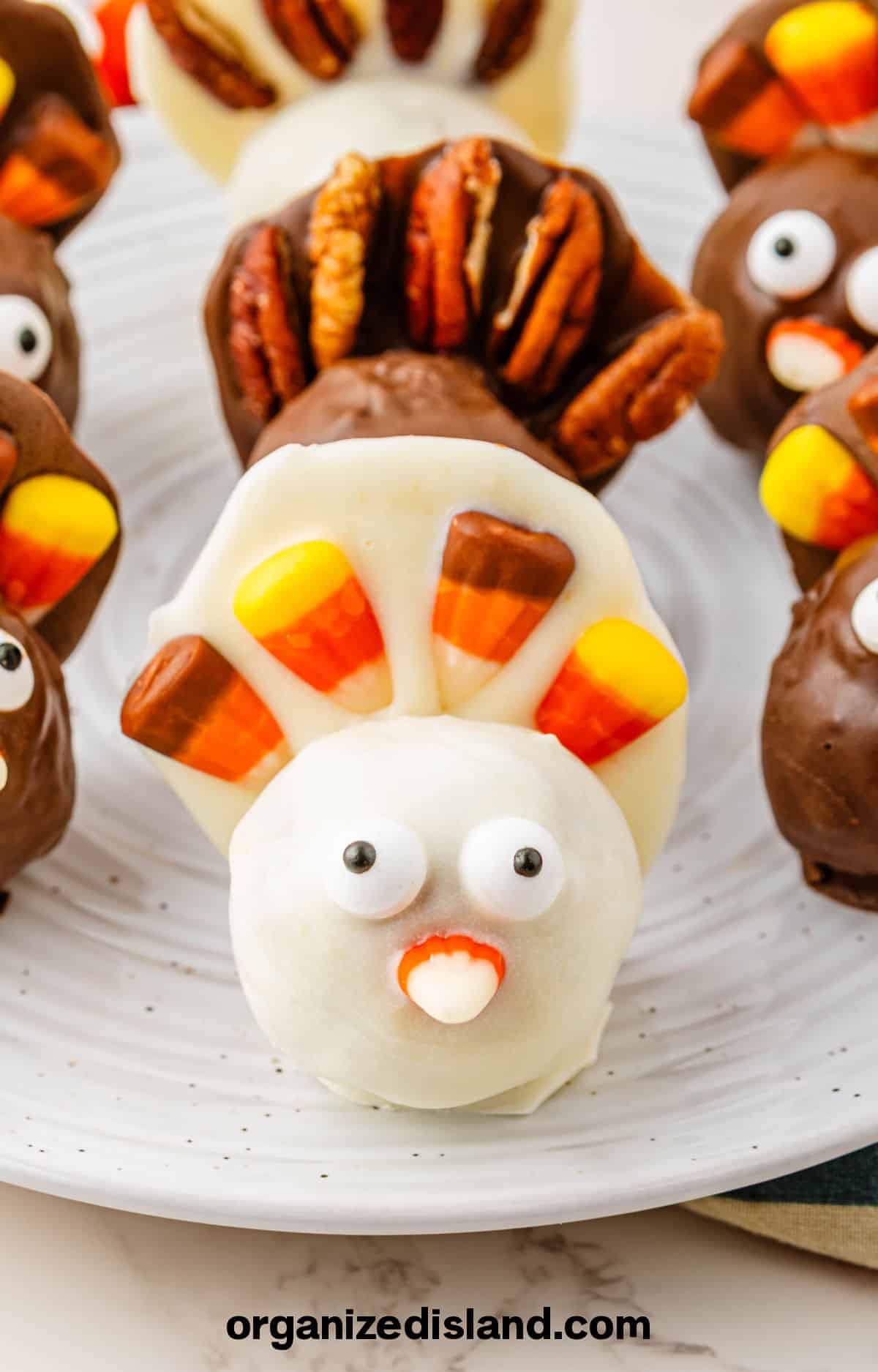 Turkey Pumpkin Pie Balls