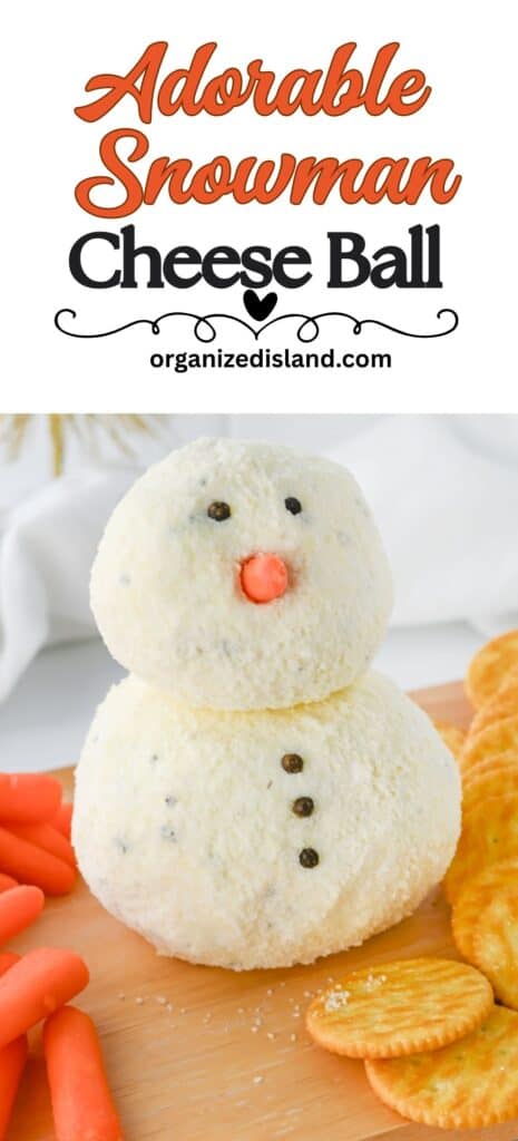 Adorable Snowman Cheese Ball