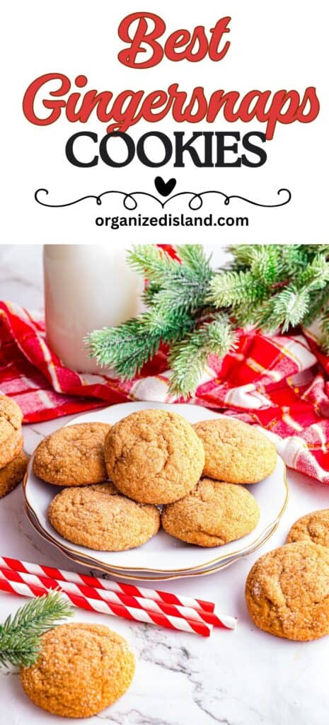 Best Gingersnaps Cookies