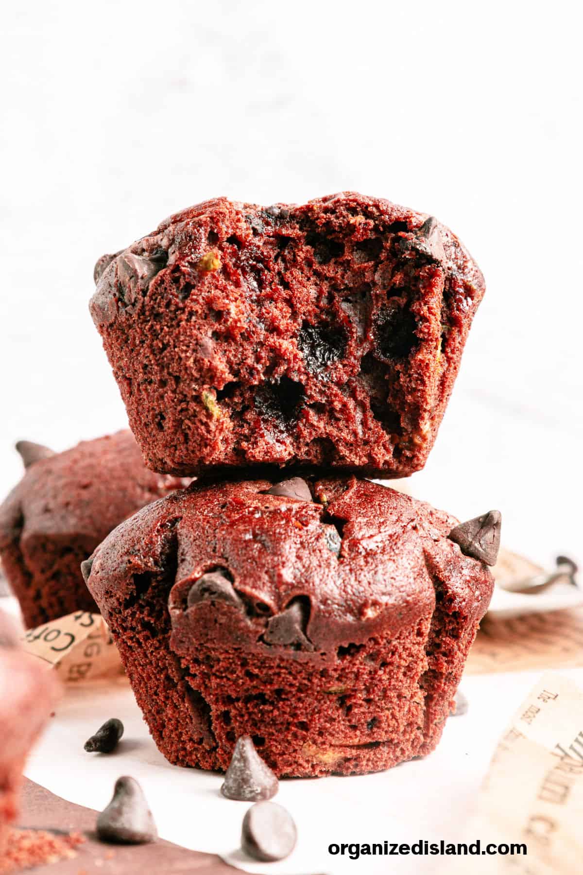 Chocolate Zucchini Muffins