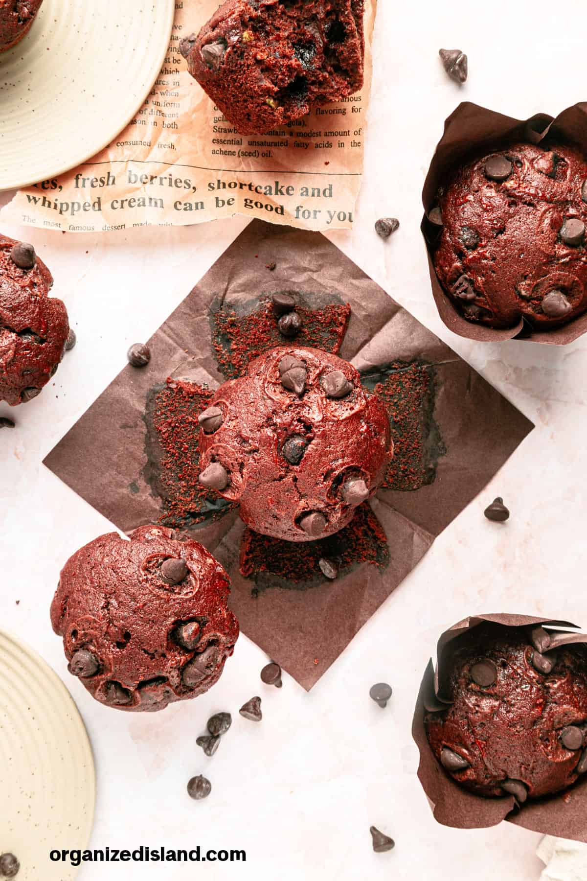 Chocolate and Zucchini Muffins