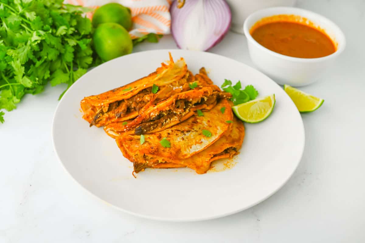 Best Crock Pot Birria Tacos