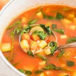 Best Ever Vegetable Orzo Soup