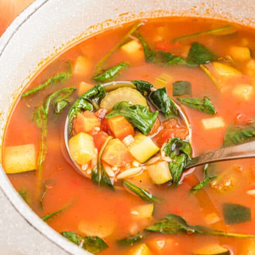 Best Ever Vegetable Orzo Soup