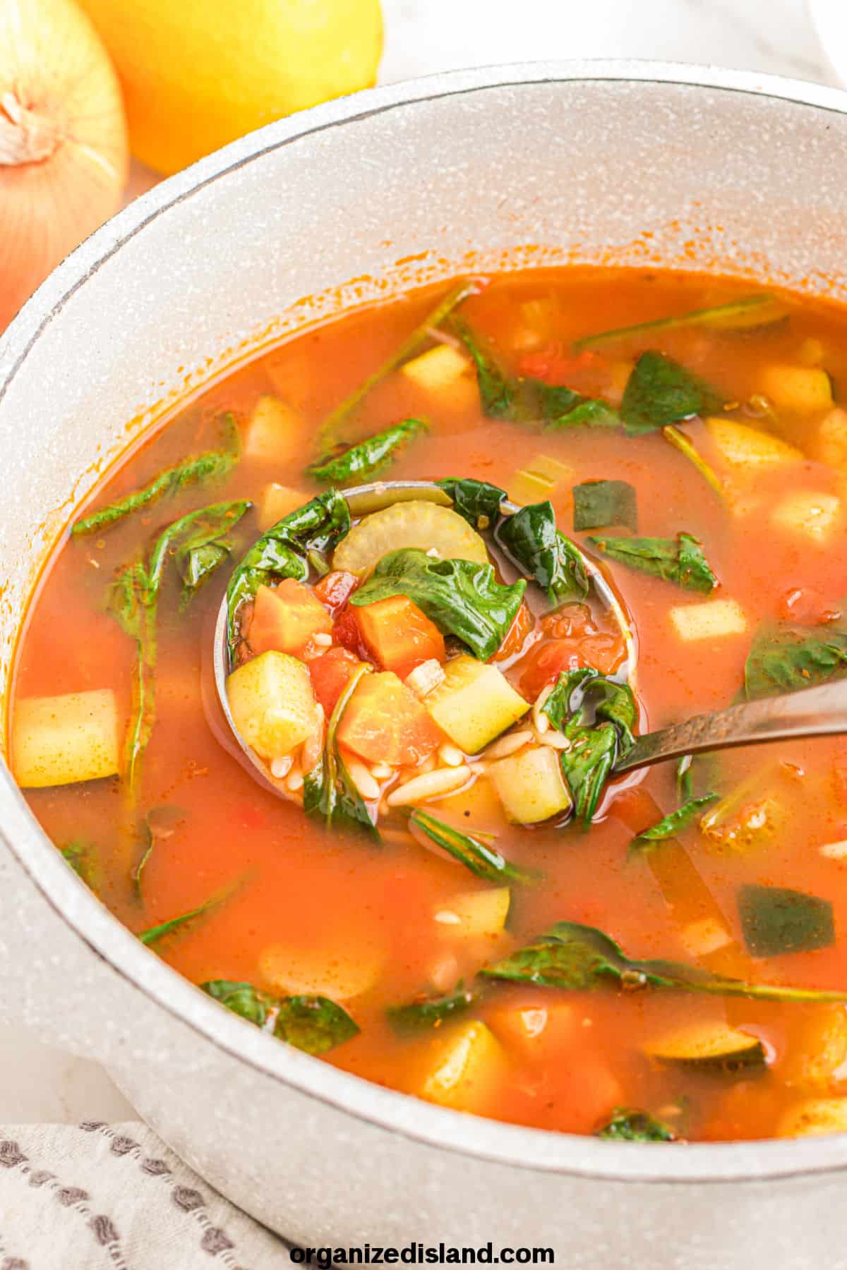 Best Ever Vegetable Orzo Soup