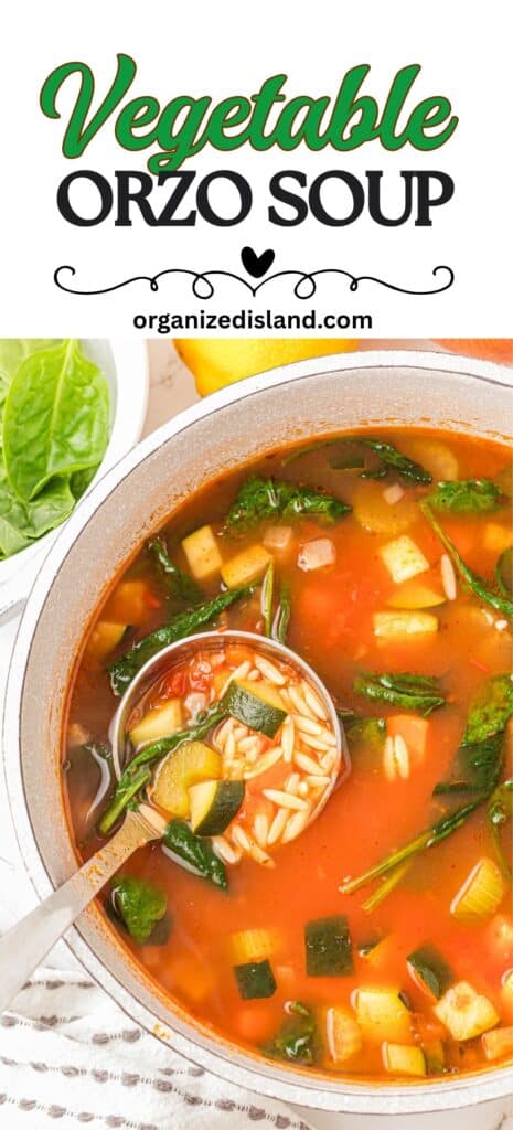 Easy Vegetable Orzo Soup