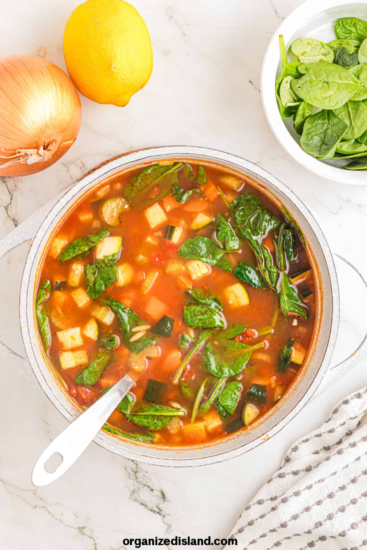 Easy Vegetable Orzo Soup