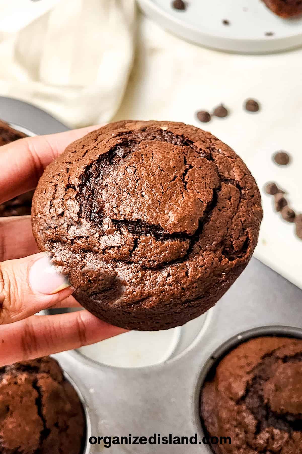 Brownie Muffin Recipe