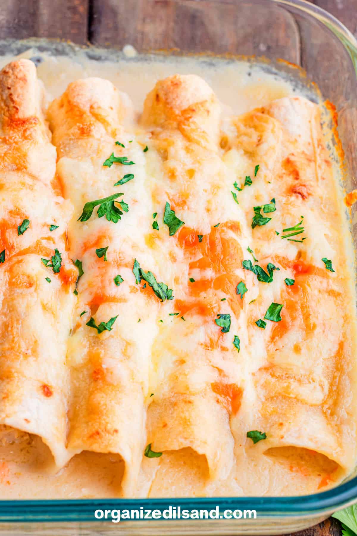 Simple Chicken and Sour Cream Enchiladas