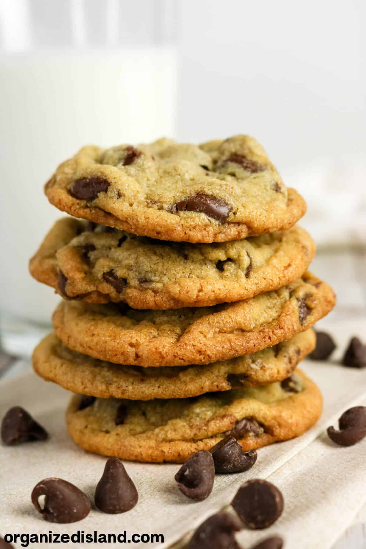 Chocolate Chip Cookies Without Eggs