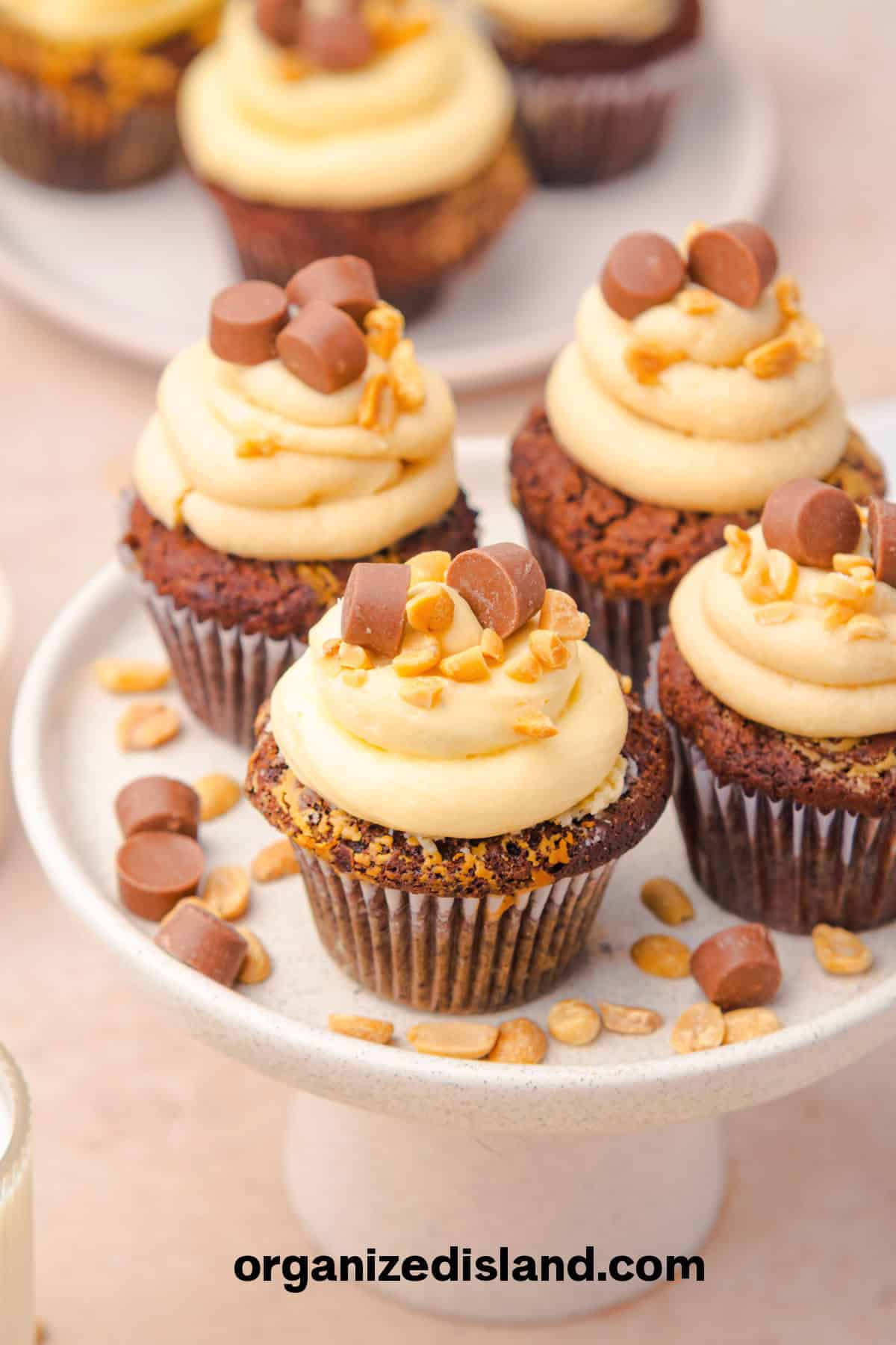Chocolate Peanut Butter Cup Cupcakes Easy Recipe(1)