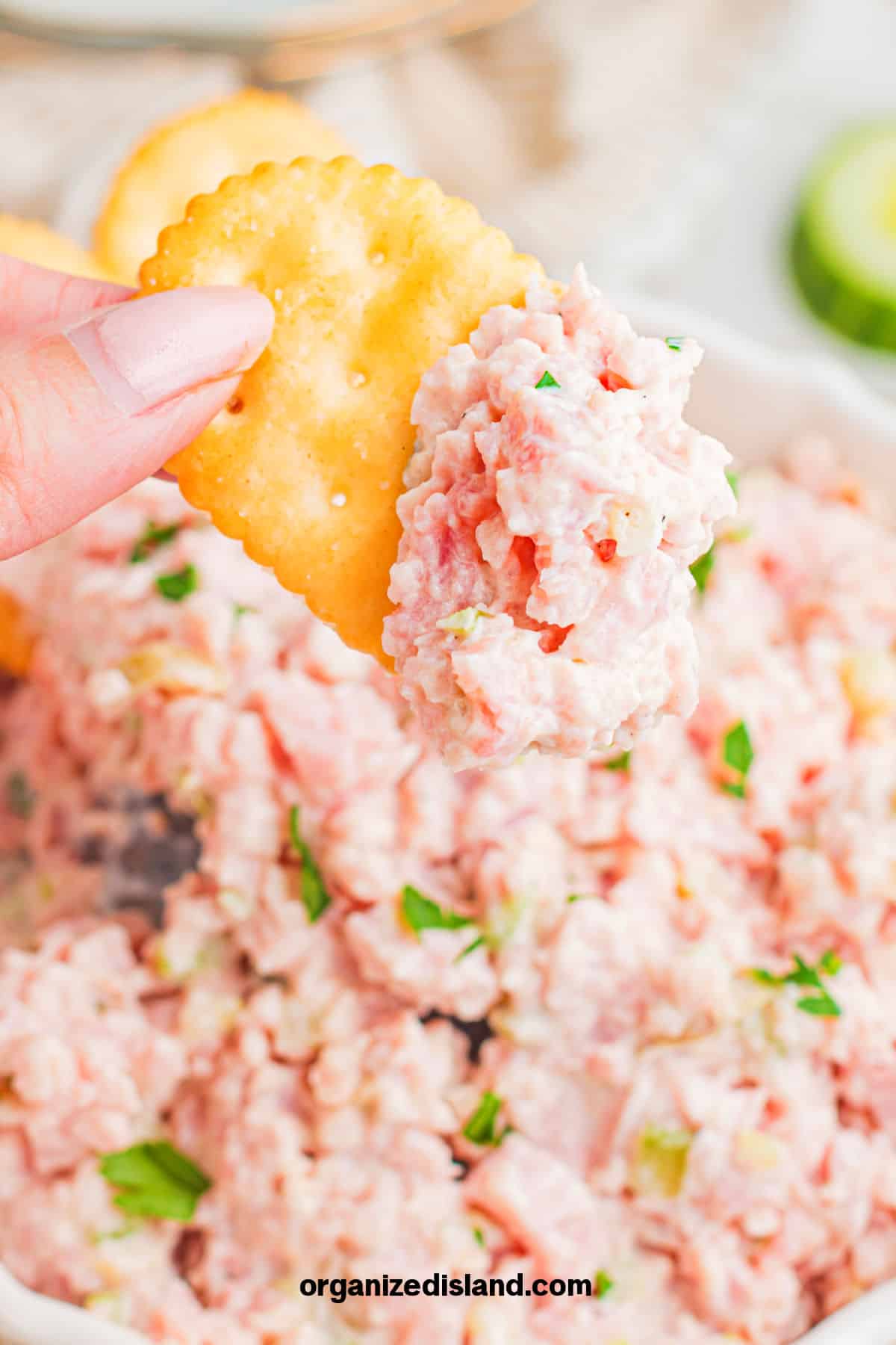 Easy Ham Salad
