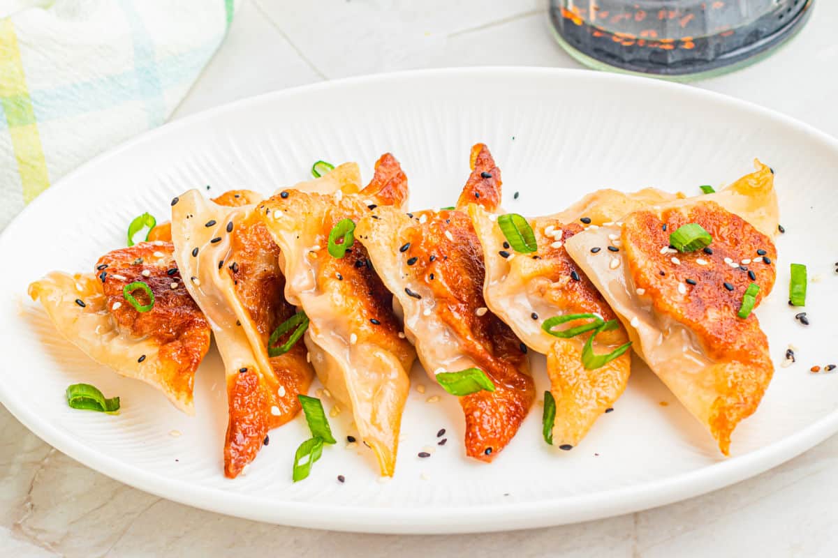 Best Potstickers on white plate