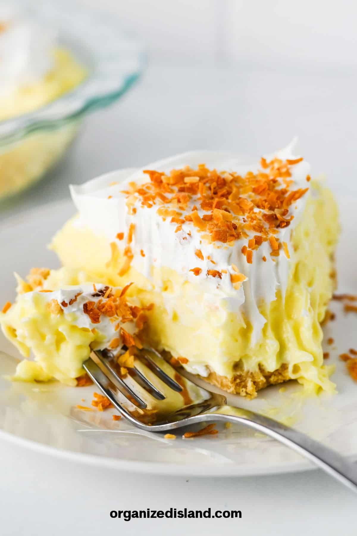A creamy slice of coconut Pie Recipe with piece on fork.