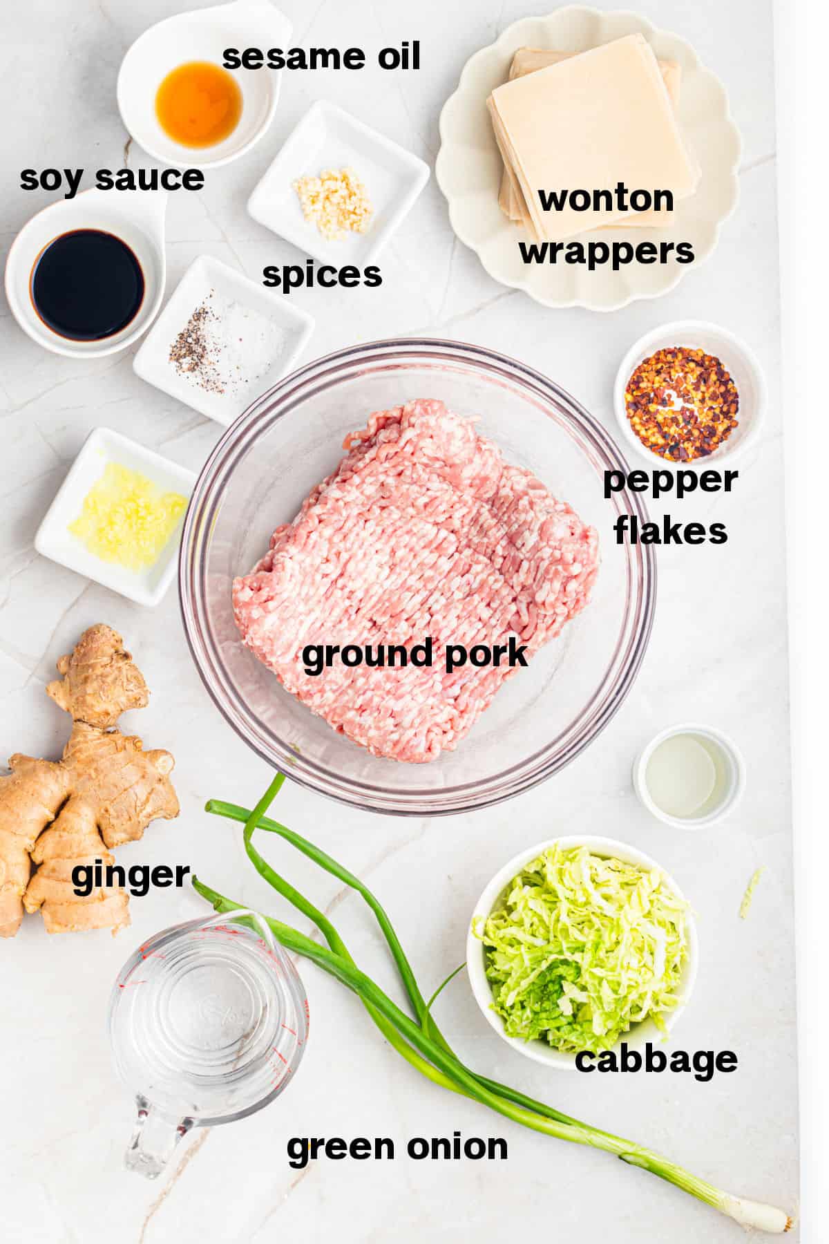 Easy Potstickers Ingredients