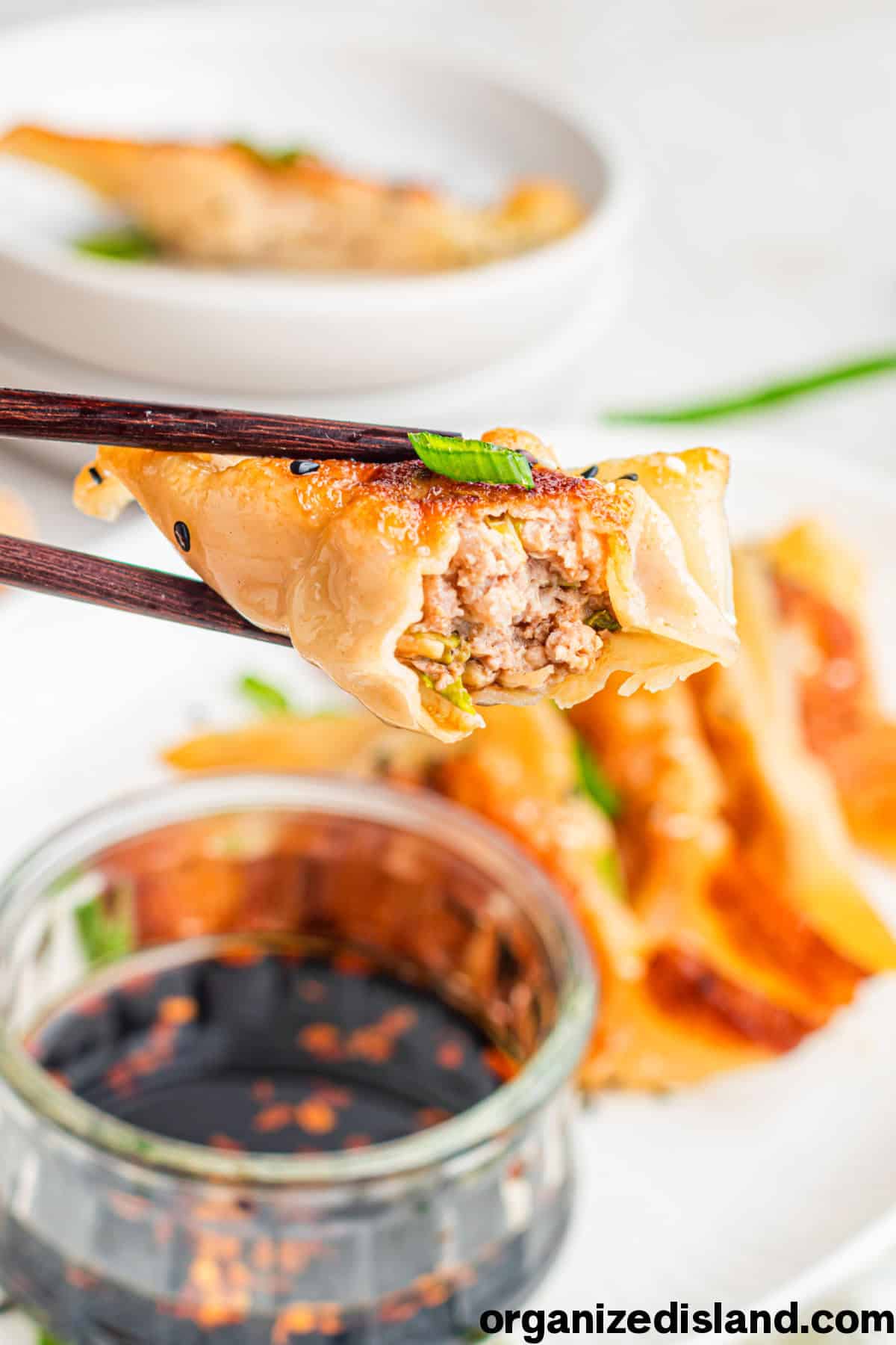 Easy Potstickers Recipe with pork filling.