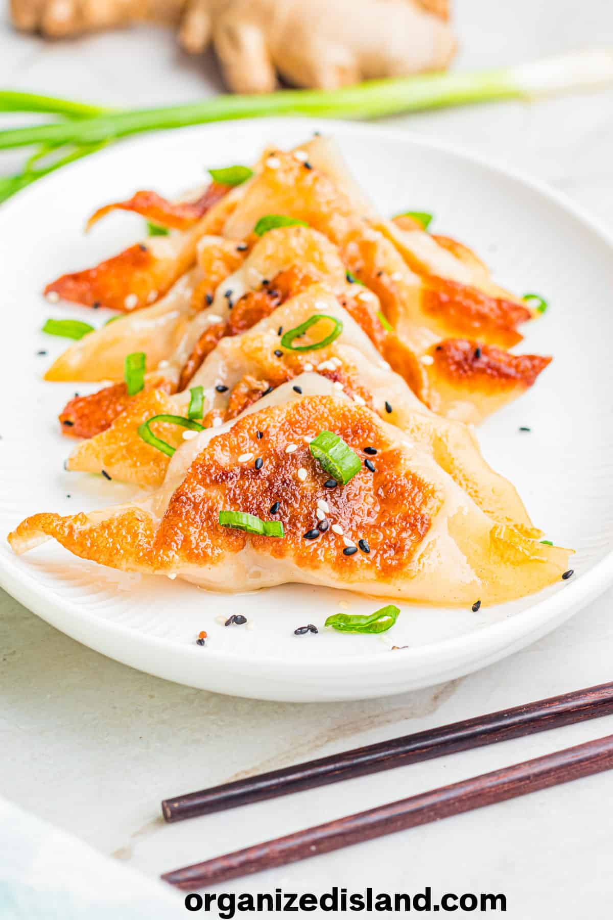 How to Make Potstickers on plate with chopsticks near by.