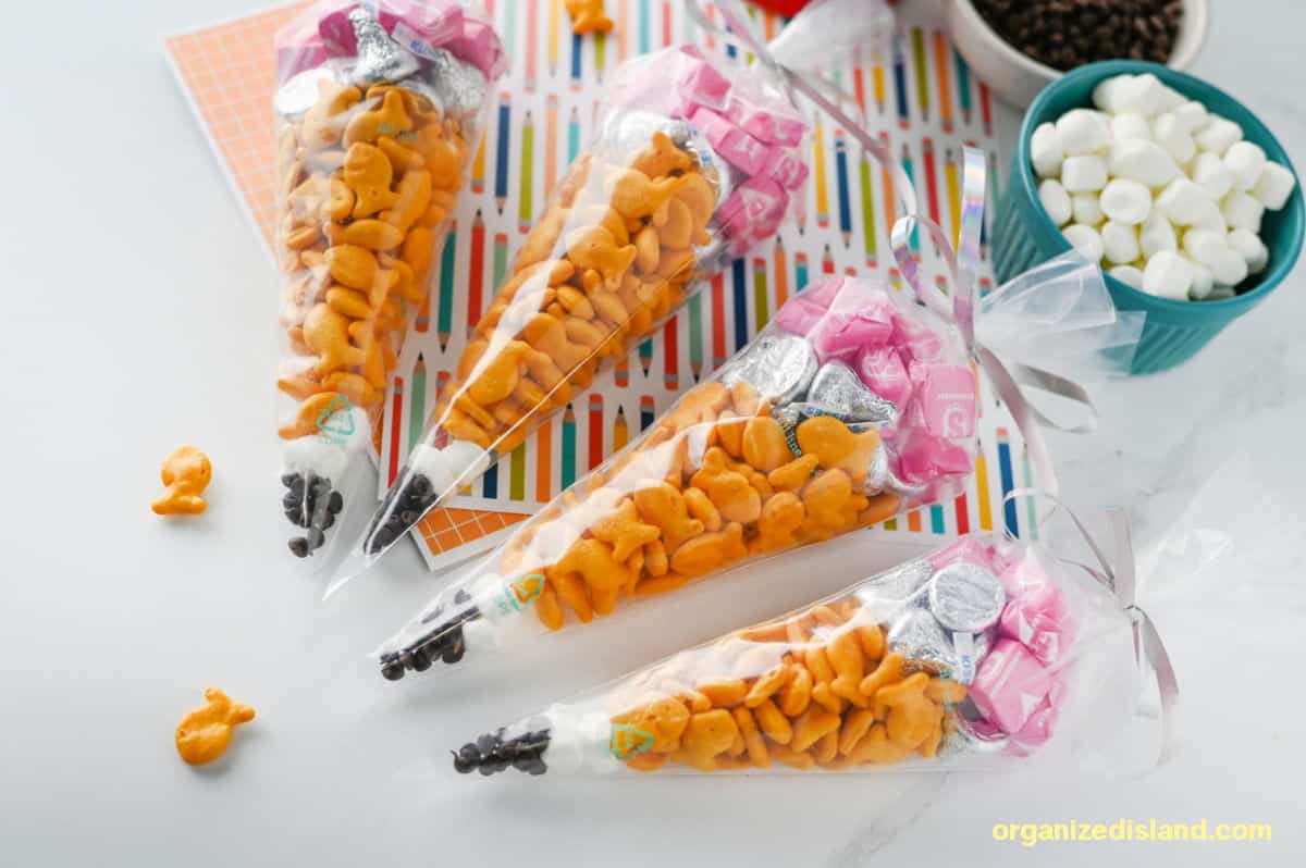 Best Pencil Treat Bags