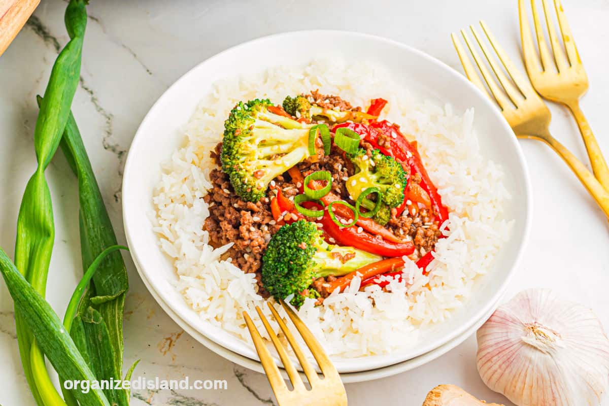 st Ground Beef Stir Fry on rice.
