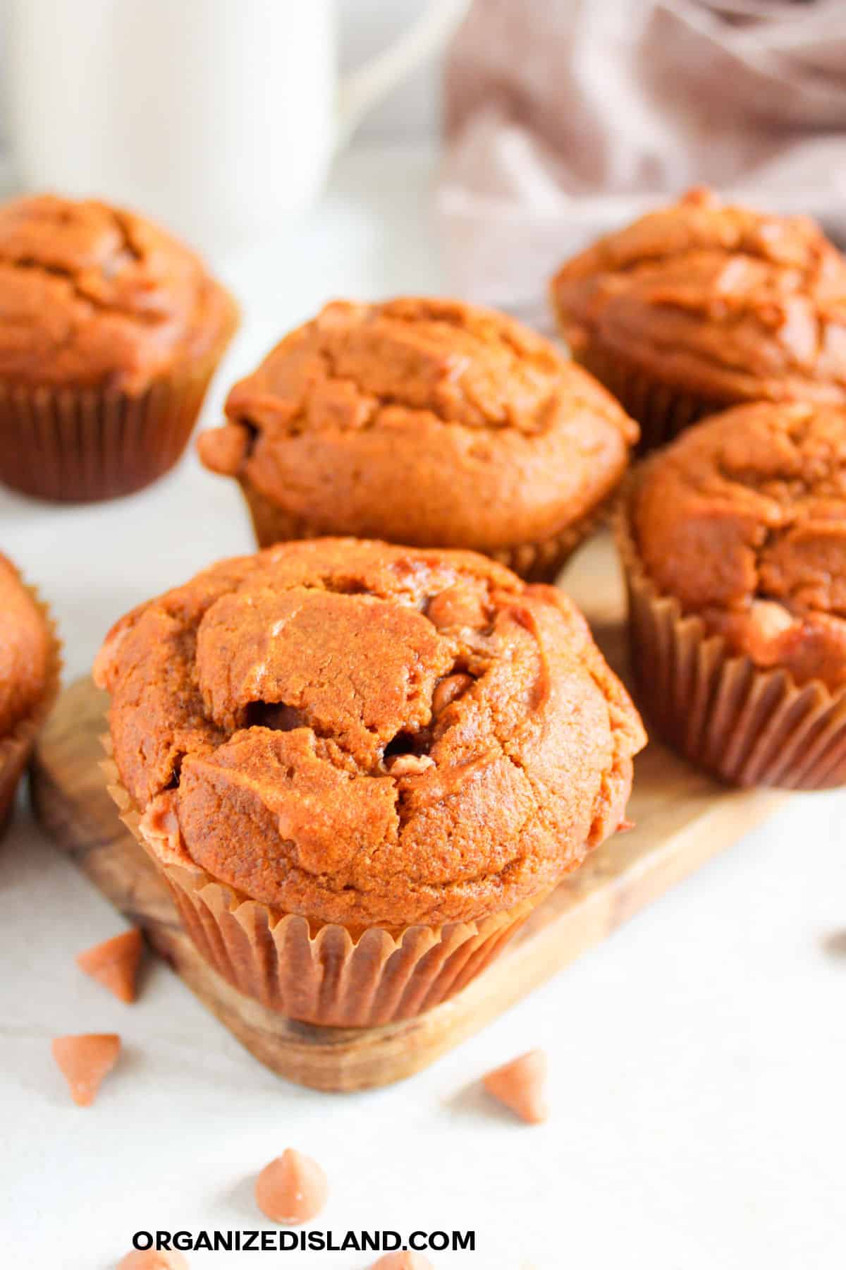 Easy Pumpkin Butterscotch Muffins
