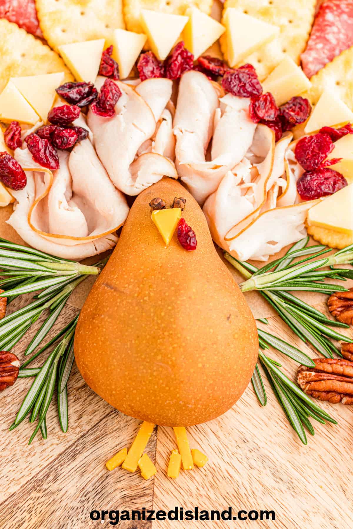 thanksgiving-snack-board-turkey