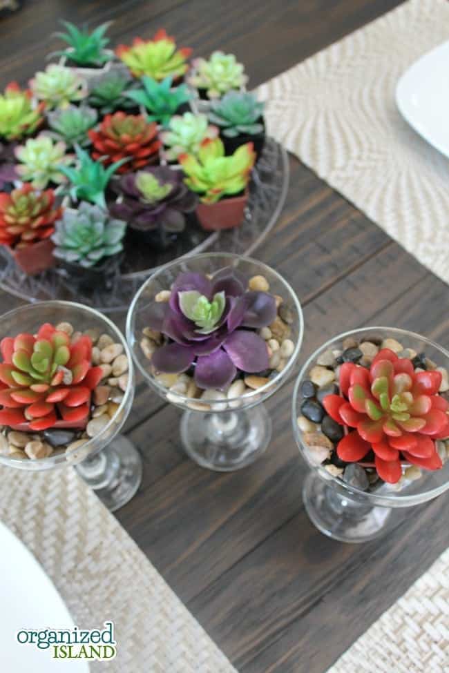 Decorating does not have to be expensive with these dollar store succulents.