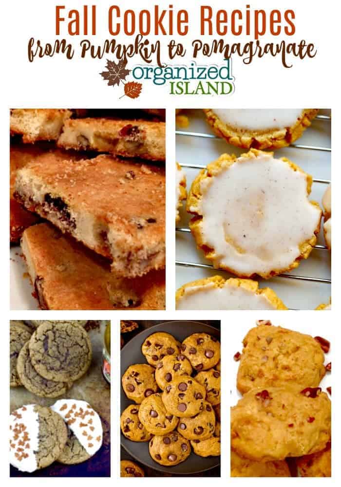 Easy fall cookie recipes to get the best of fall in a cookie!