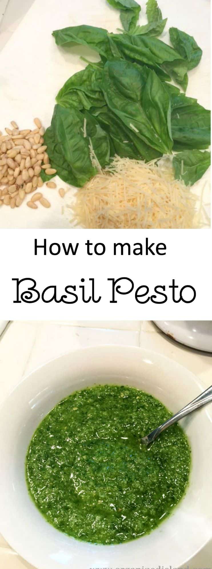 basil-pesto-recipe