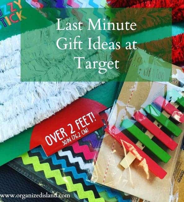 Need some last minute gift ideas? Check out these items from your nearest Target.
