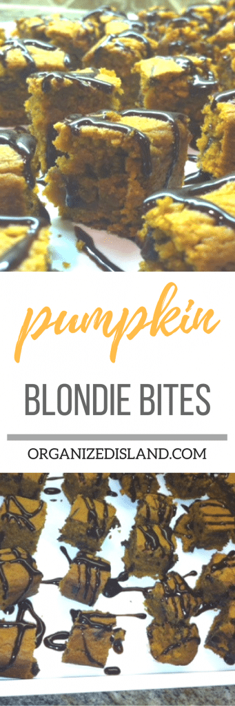 Pumpkin Blondie Bites - made with egg and butter substitute. Great for an egg-free and butter-free treat!