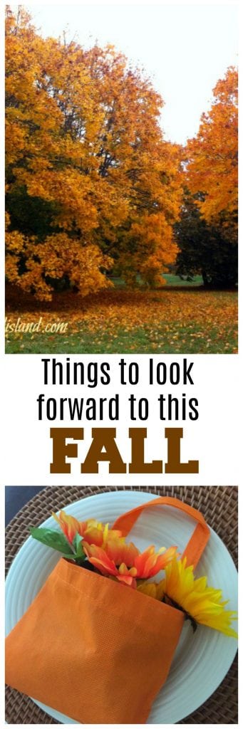 Things to look forward to this fall.