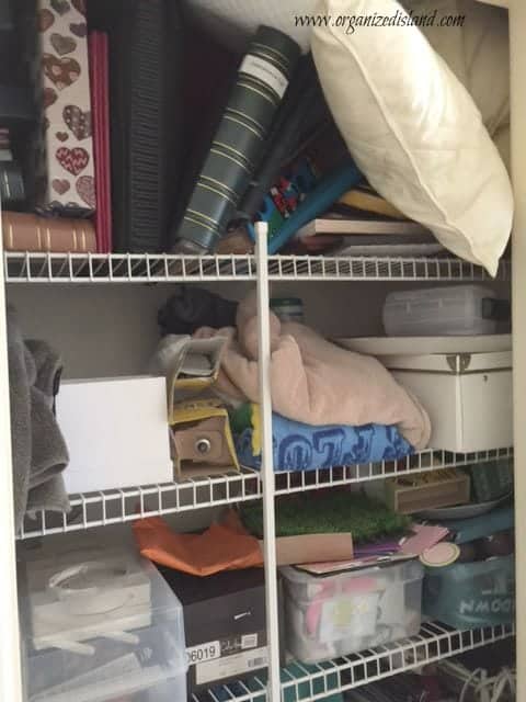 before-organization-closet