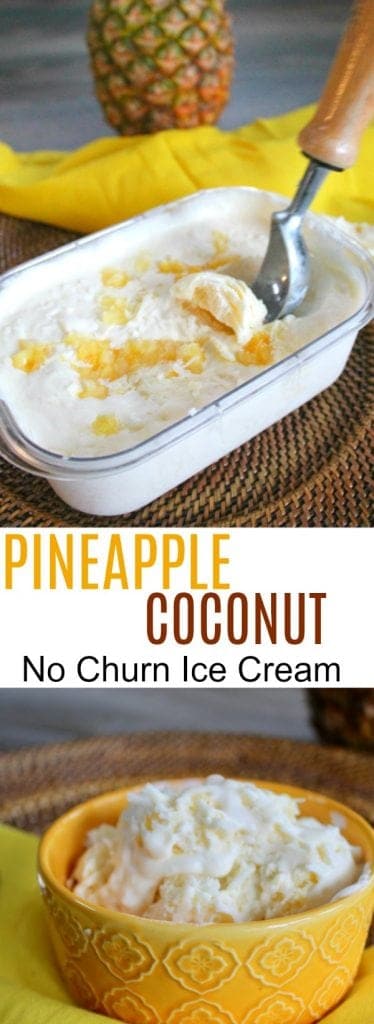 Pineapple and Coconut Ice Cream