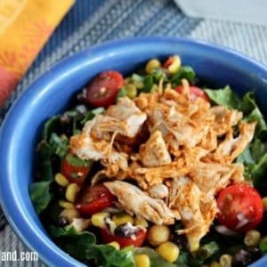 Easy Southwest Chicken Salad Recipe