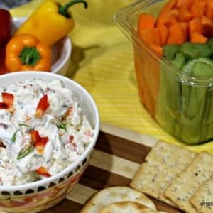 Quick and easy Garden Vegetable Cream Cheese Dip is perfect for a game day appetizer or as a lunch box snack!
