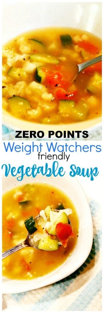 weight watchers vegetable soup recipe